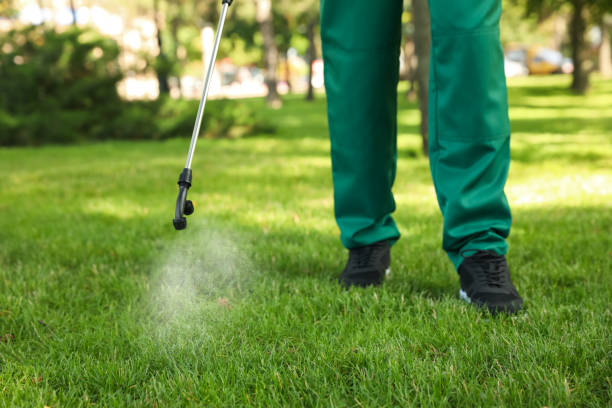 Best Pest Control for Homes  in Arkwright, SC