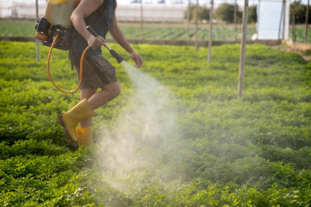 Best Best Pest Control Companies  in Arkwright, SC