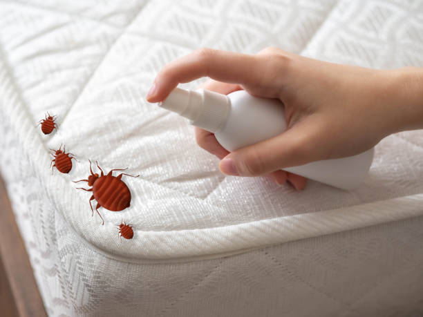 Best Pest Removal Services  in Arkwright, SC