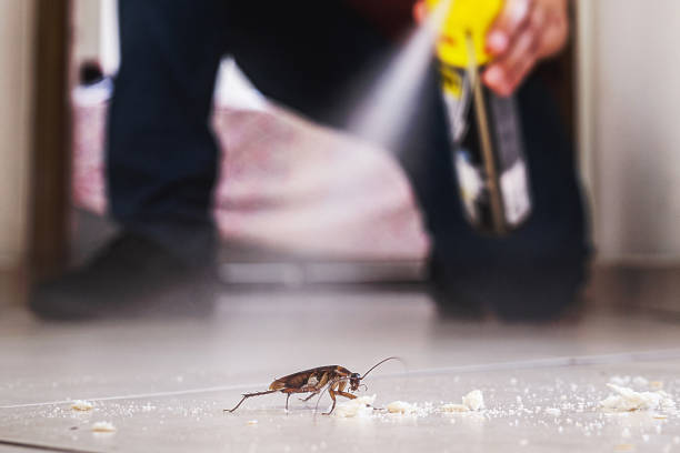 Best Pest Inspection Near Me  in Arkwright, SC