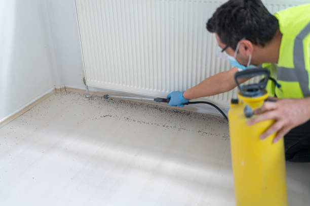 Best Local Pest Control Services  in Arkwright, SC